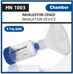 Minion Chamber Large